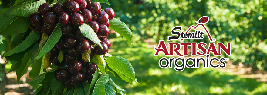 artisan organics